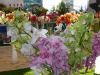 Jarní Flora Olomouc 2010