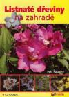 Listnaté dřeviny na zahradě