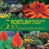 Rostliny pro balkon a terasy - 500 nejkrásnějších druhů