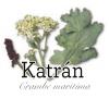 Crambe maritima - katrán (KNIŽNÍKLUB)