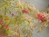 Acer palmatum 'Shirazz' - javor dlanitolistý