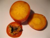 Tomel japonský (Diospyros kaki)