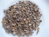 Zlateň věncová (Glebionis coronaria)