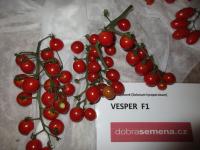 Lilek rajče 'Vesper F1' (Solanum lycopersicum)