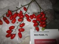Lilek rajče 'Red Pearl F1' (Solanum lycopersicum)