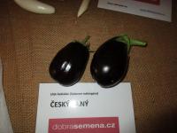 Lilek vejcoplodý 'Český raný' (Solanum melongena)