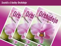 Orchideje - soutěž